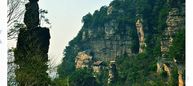 天子山 袁家界 杨家界图片