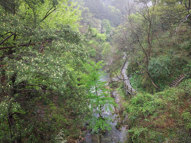 "衡山是名声在外的五岳之一的南岳，其特点是“秀”_南岳衡山风景名胜区"的评论图片