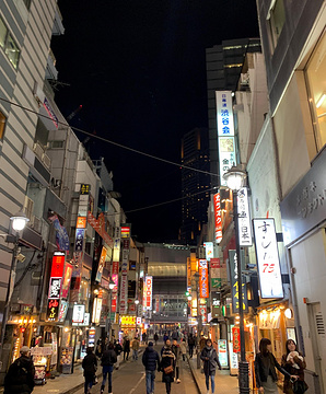 21涩谷109 池袋店 旅游攻略 门票 地址 问答 游记点评 东京旅游旅游景点推荐 去哪儿攻略