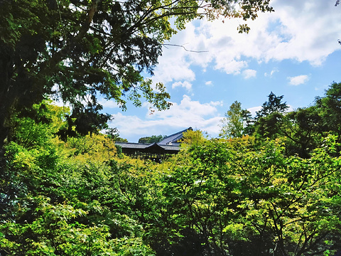 东福寺旅游景点攻略图