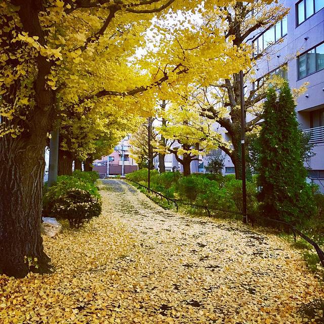 仙台城迹（青叶城迹）