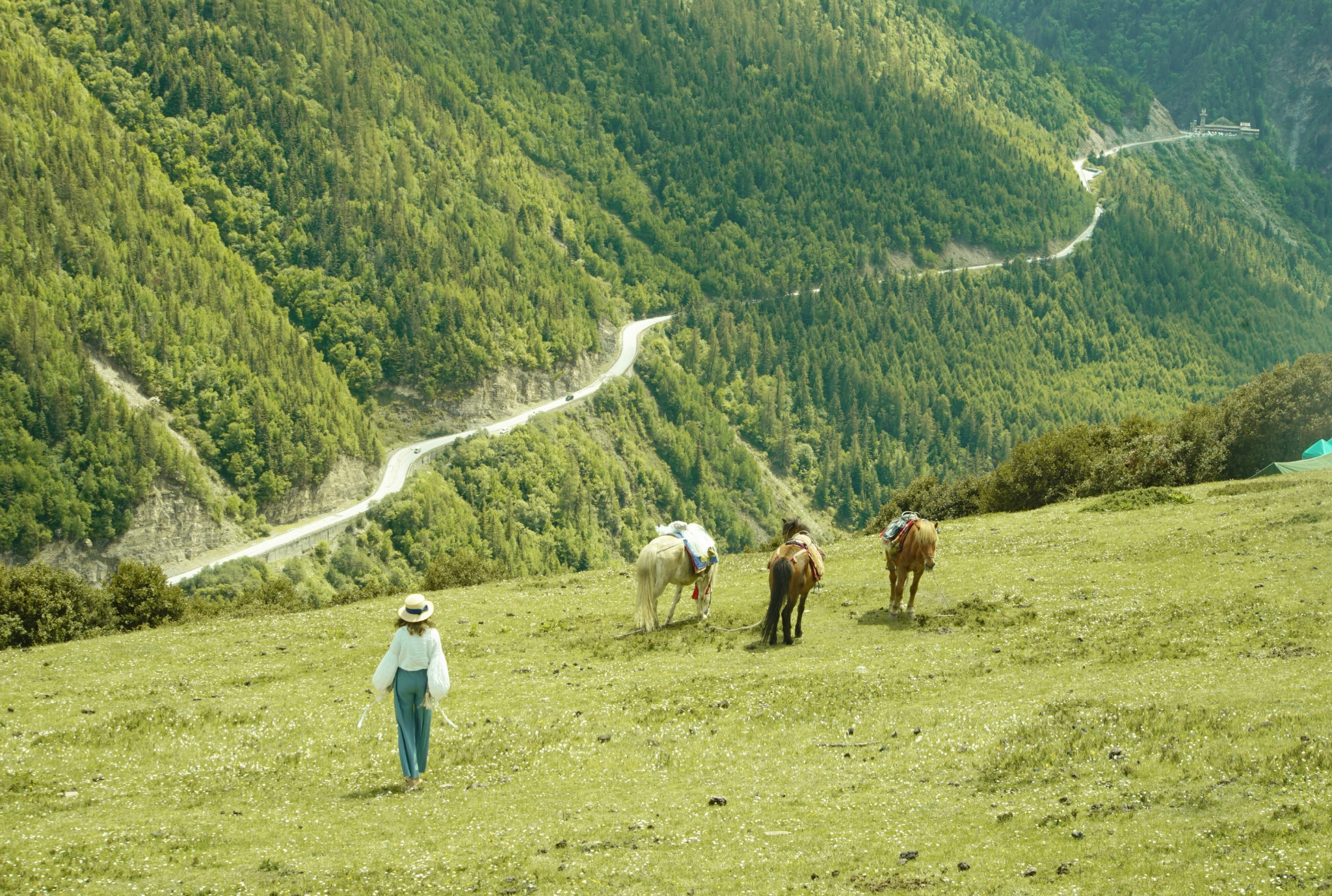 翻越3000多米海拔来见你 遇见川西 遇见仙境 四姑娘山旅游攻略 游记 去哪儿攻略