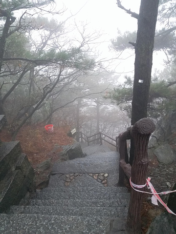 "_庐山国家级旅游风景名胜区-锦绣谷"的评论图片