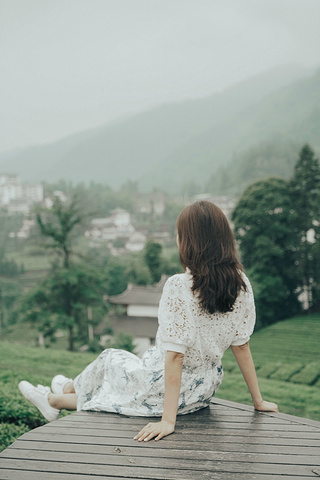 "位于北纬30度的伍家台村，是我在国内见过最美的茶园了，泡出的茶清香、回甘，饮后可清心定神_施南茶堂·伍家台贡茶(金桂大道店)"的评论图片