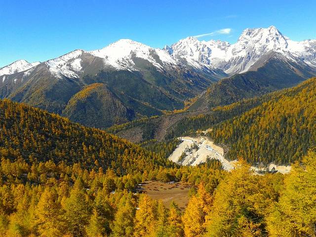 白马雪山观景台