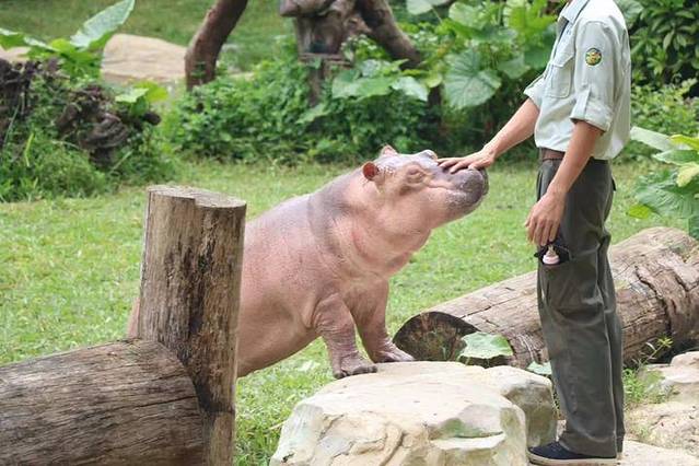 香港动植物公园
