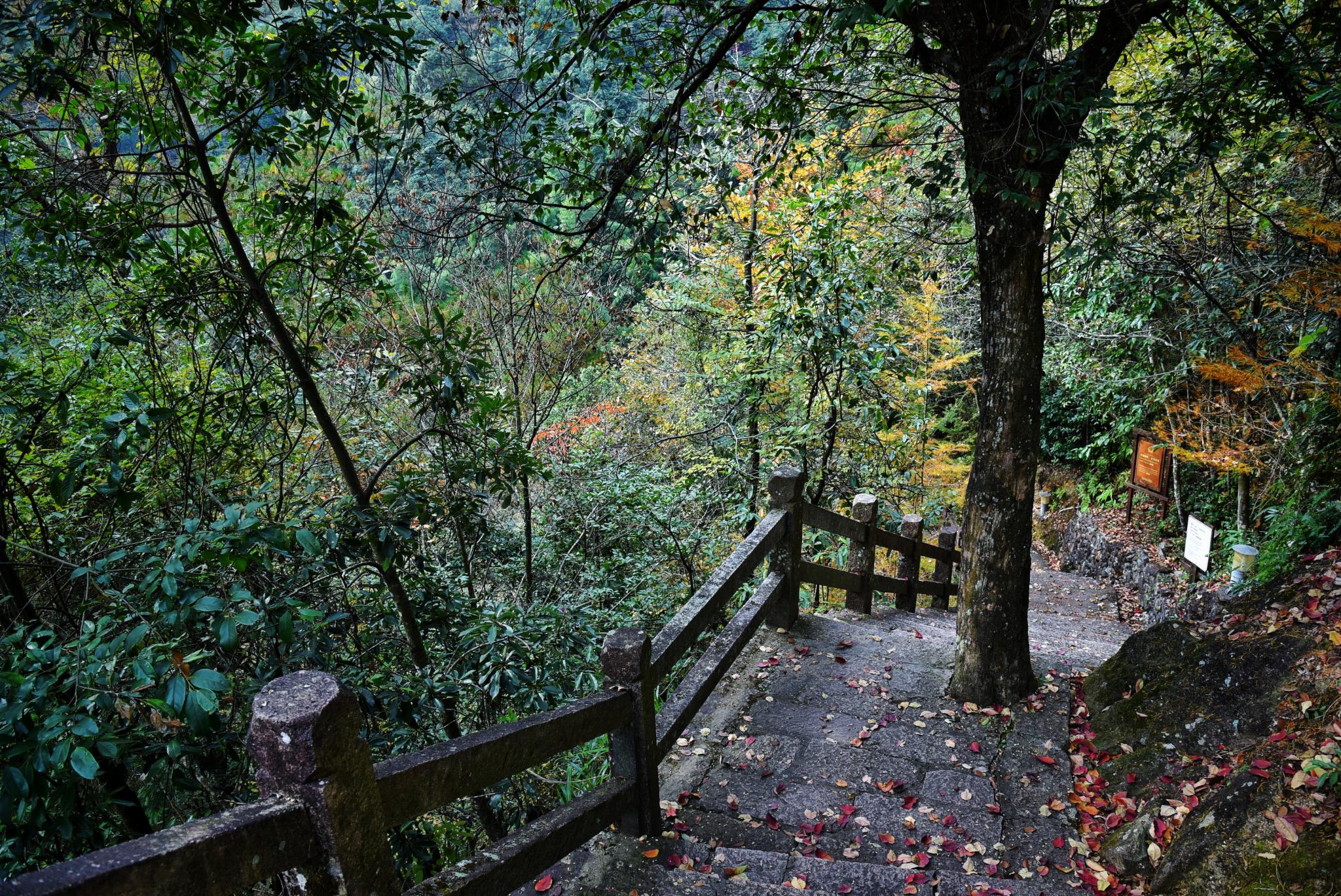 2021铜铃山森林公园游玩攻略,景区最为经典的景致从山谷谷...【去哪儿攻略】