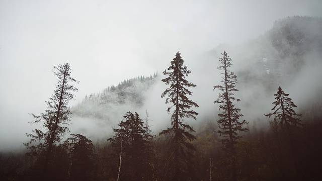 The Rocky Mountaineer Train