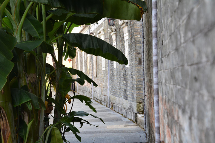 "北京有个古建筑专家到龙家大院来考察后，感叹地说，这是他在中国所看到的第一个有路灯的古村_龙家大院"的评论图片