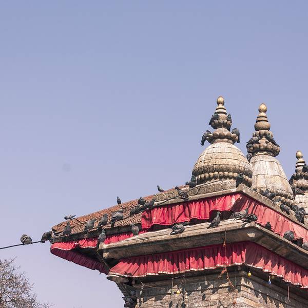 多少岁不可以去寺庙 85edb7efd0c03fbb99b20bea56550822.jpg_600x600x70_dcf2db08.jpg