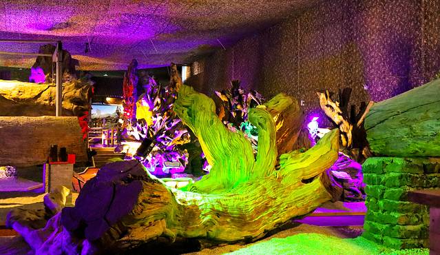 腾冲杜鹃王古木博览园