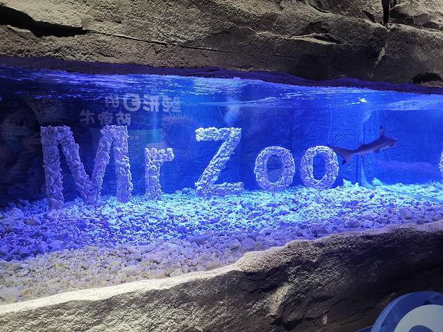 MrZoo-小小动物元室内动物园(上海嘉定万达中心)