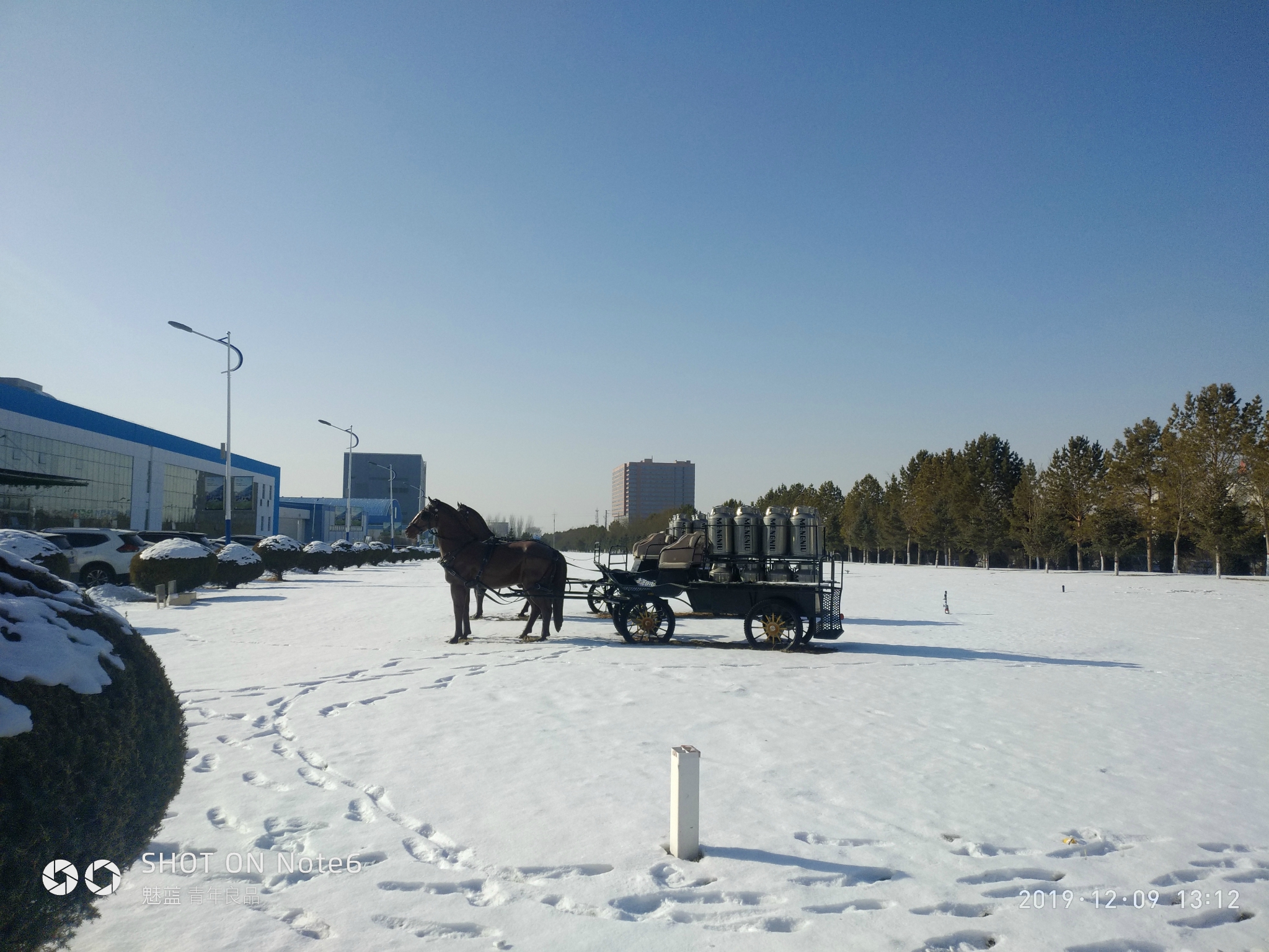 有失有得-----2019冬日下 内蒙古呼和浩特之旅