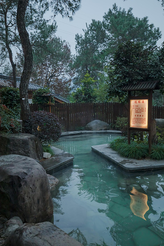 "...沐浴文化为背景，设计布局了8个温泉汤池，中心汤池是星晨汤，面积最大，温度最低，适合从这个池泡起_唐风温泉"的评论图片