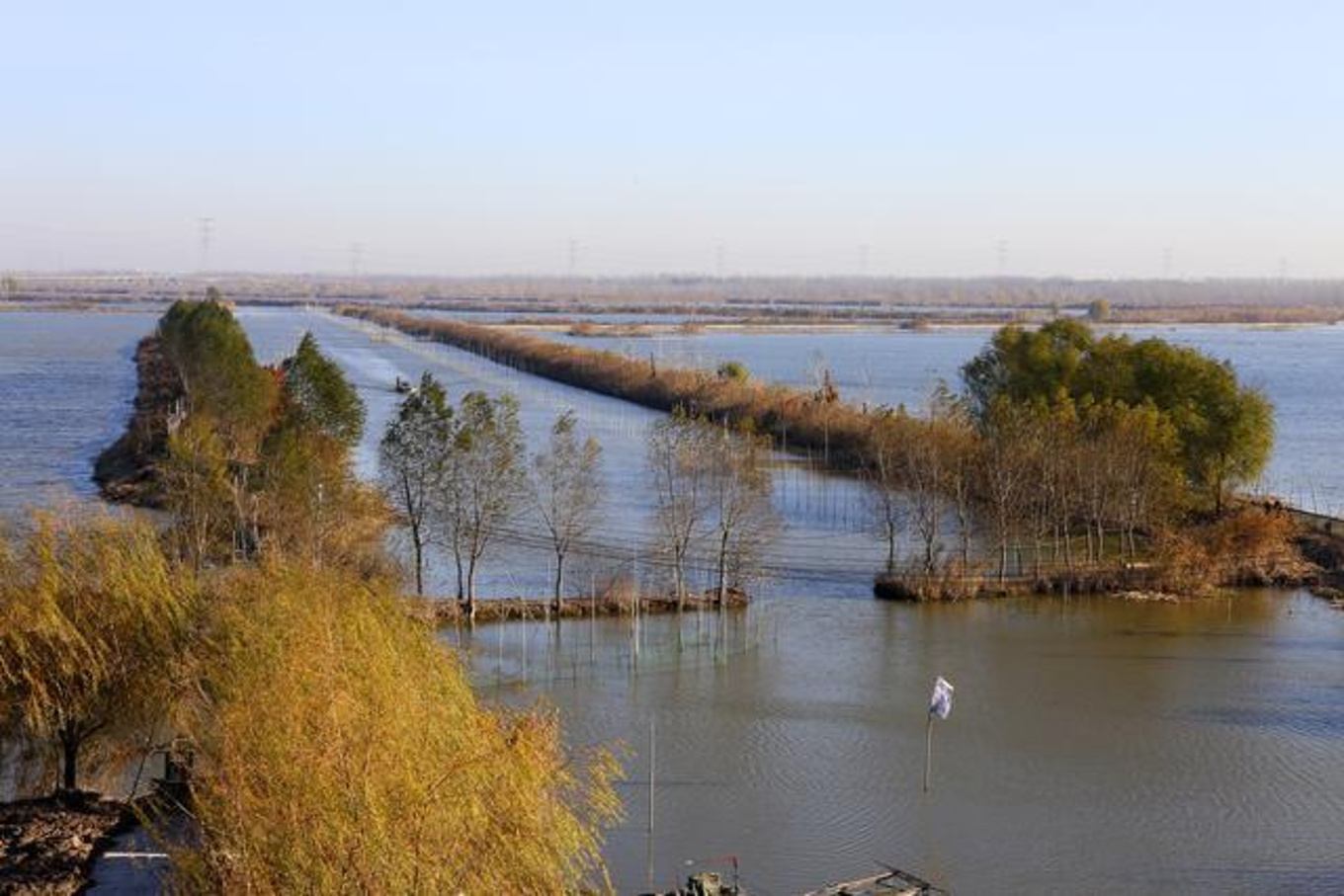 2022高邮湖芦苇荡湿地公园游玩攻略,高邮湖芦苇荡湿地公园度假区...【去哪儿攻略】