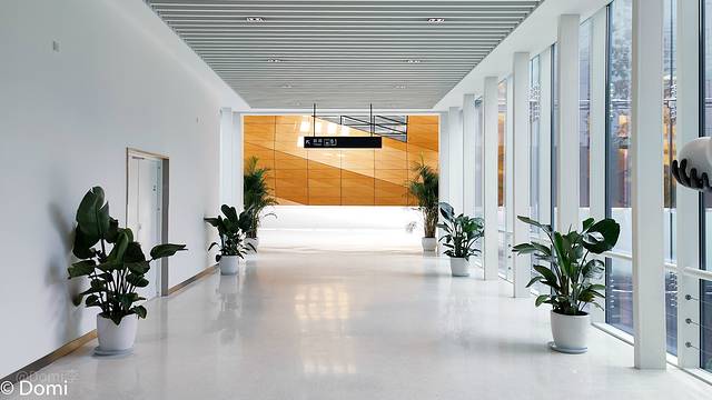 苏州市第二工人文化宫