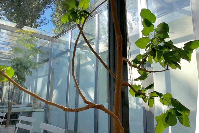 This is C5cafe(三里屯西五街店)