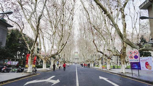 东南大学四牌楼校区