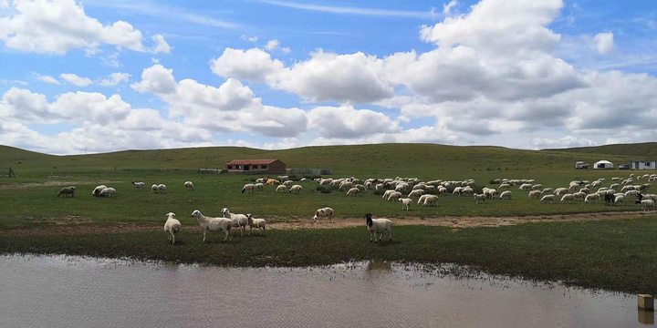 西乌珠穆沁大草原旅游景点图片