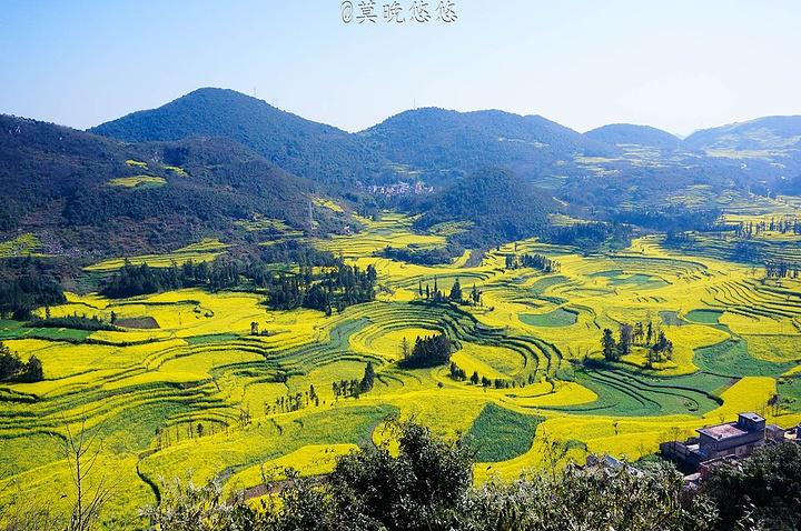 "2月寒意刚刚退去，春节的喜庆蔓延在大街小巷，一份美好的开始就从云南罗平开始吧_罗平油菜花景区"的评论图片