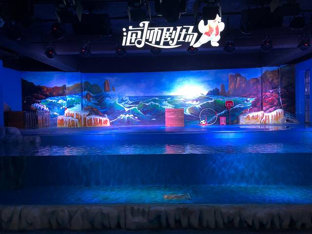 鹏新嘉定海洋世界