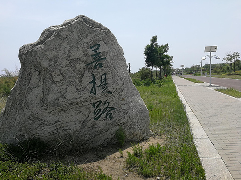 菩提岛旅游景点攻略图