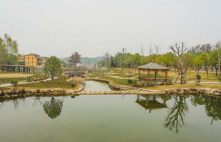 "...季节，但在武汉市黄陂区姚家集杜堂村的木兰花乡景区内，雄鹰却看到了不同寻常冬日所能看到的美丽景色_木兰花乡景区(木兰不夜城)"的评论图片