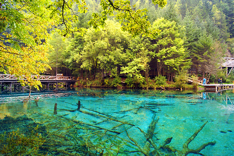 五花海旅游景点攻略图