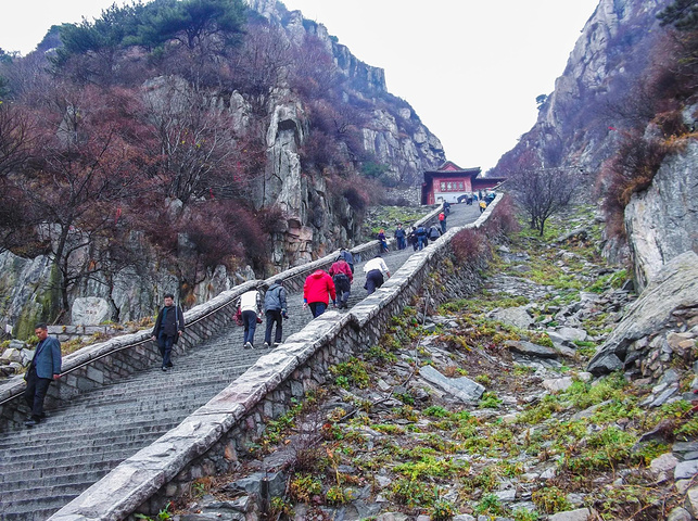 秋雨綿綿,爬到高處,漫山雲霧,宛如置身仙境.不虛此行