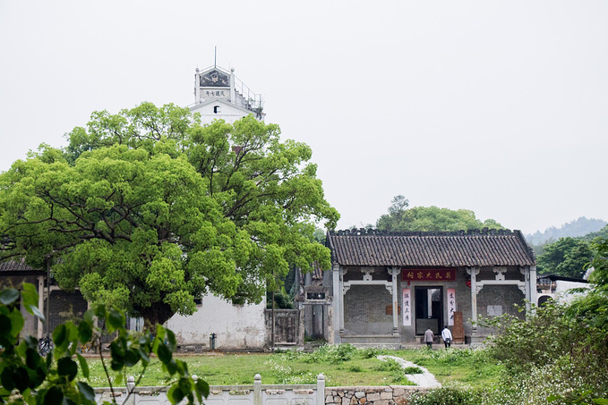 莫氏大宗祠图片