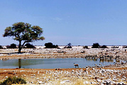 纳米比亚旅游景点攻略图片