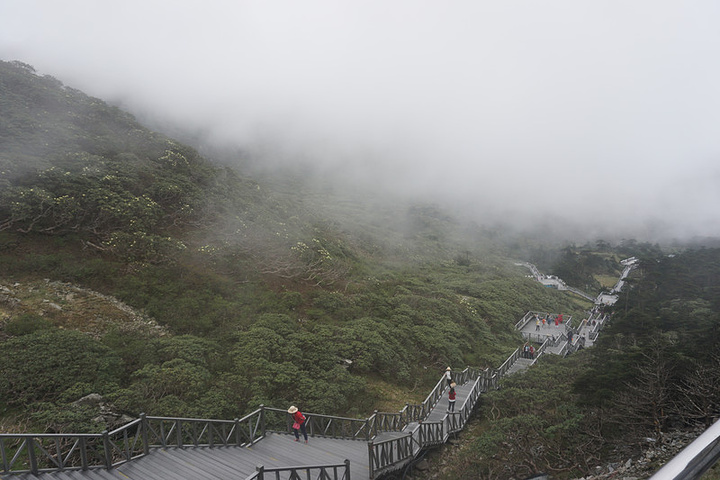 "苍山十九峰十八溪，我们去的就是最高的马龙峰。好在我们去的正好逢上苍山杜鹃开放的好时节_苍山"的评论图片