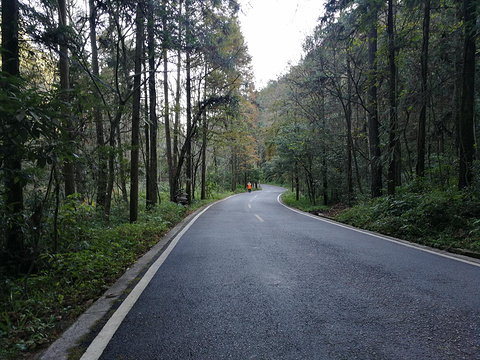 黄石寨旅游景点攻略图