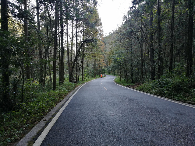 "主要游览点：、六奇阁、摘星台、雾海金龟、天书宝匣、天桥遗墩、猴帅点兵、南天门、黑枞垴_黄石寨"的评论图片