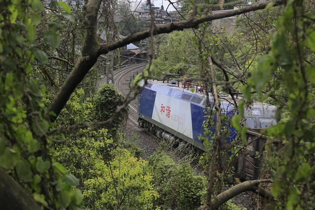 宜宾市翠屏山景区