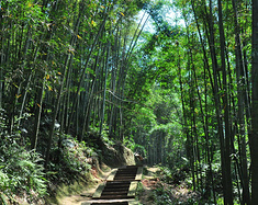 四川游记之泸州老窖旅游区