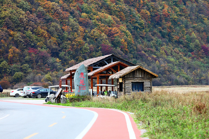 "游玩大九湖建议住宿在坪阡古镇，离游客中心很近，自驾车辆停在游客中心外面的停车场即可，预约免费门..._大九湖国家湿地公园"的评论图片