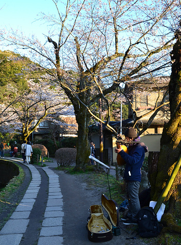 "银阁寺本名慈照寺，与金阁寺一样，同为临济宗相国寺派寺院，也是室町时代所建。银阁寺门票_银阁寺"的评论图片