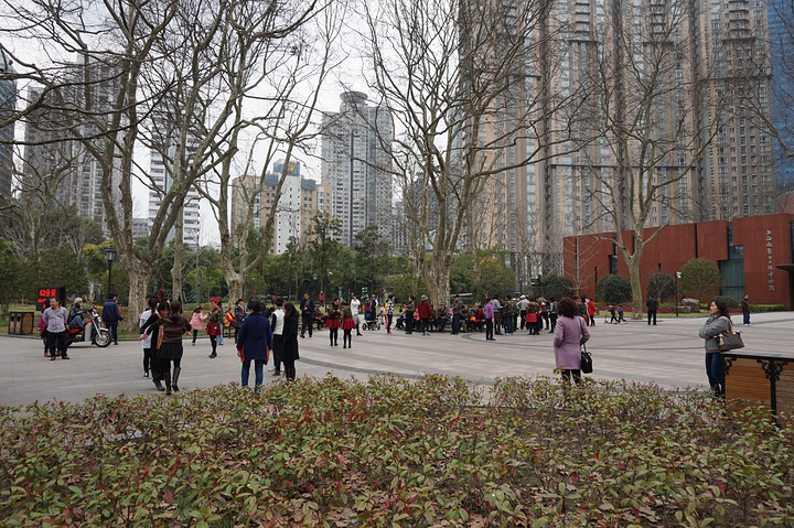 "中山公园是上海的地标性公园，对上海市民的意义很大，公园是免费进入的，公园内有很多周边的居民跳舞..._中山公园"的评论图片