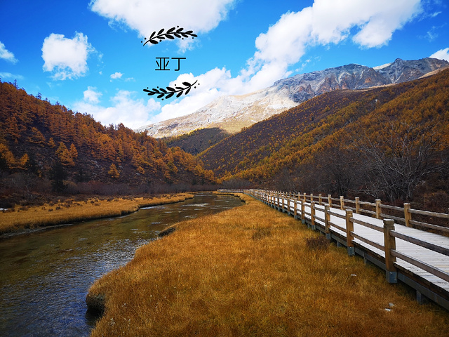 "...斑斓，野花、青稞、草地和谐地搭配在一起，充满了热情、期望和绚丽，构成了秋季稻城亚丁最独特的美丽_洛绒牛场"的评论图片