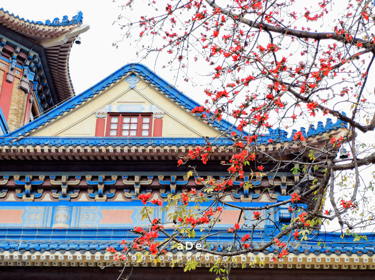 漫天红花满,中山纪念堂-珲春旅游攻略-游记-去哪儿攻略