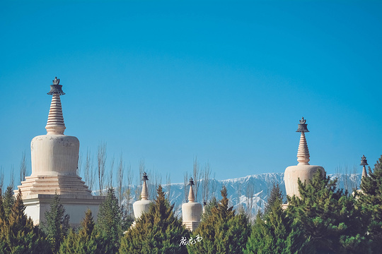 白塔寺旅游景点图片