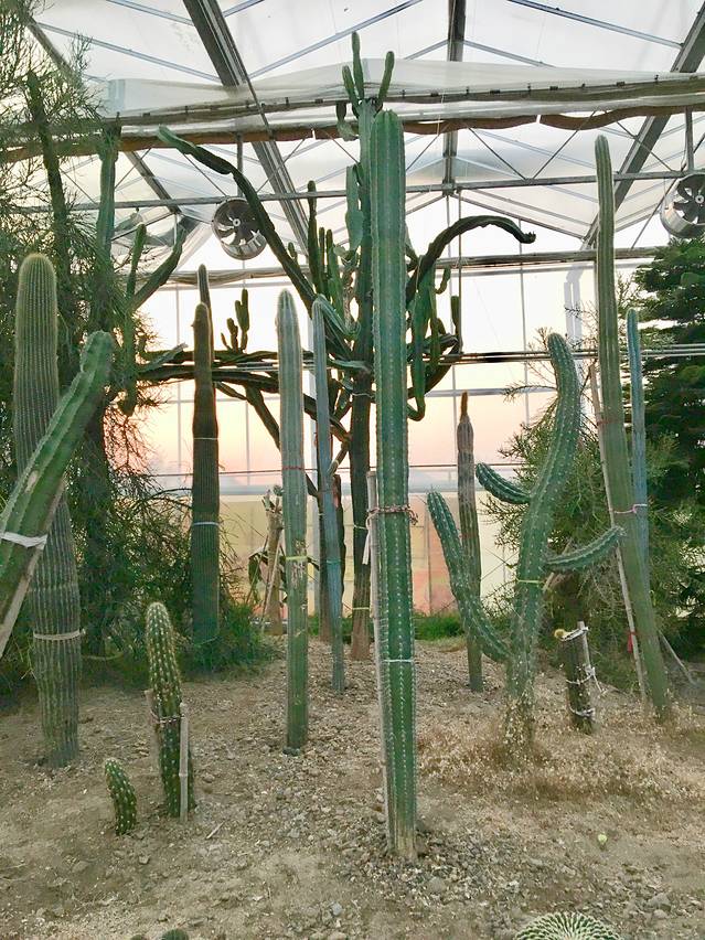 金土地生态农业园