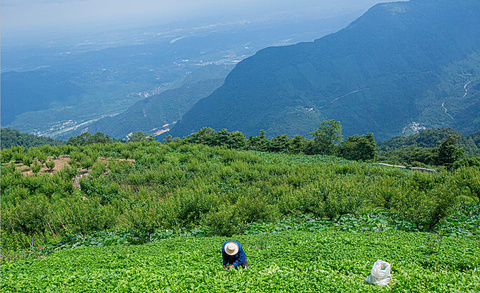 九皇山云中农场旅游景点攻略图