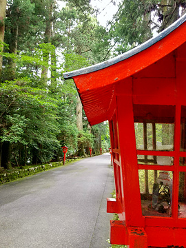 箱根神社旅游景点攻略图