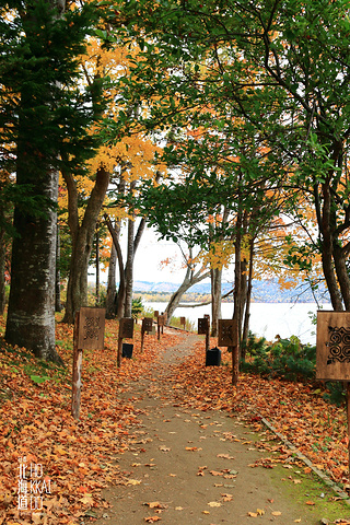 "这个地方很美，到处是深秋的画卷，很庆幸自己早上没有因为天气不好放弃它（早上出门本来想直接去 札幌 了_阿寒湖"的评论图片