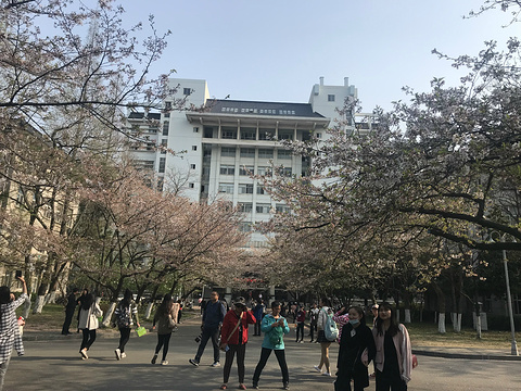 南京林业大学旅游景点攻略图