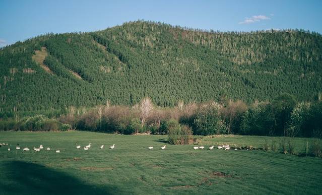 恩和俄罗斯族民族乡