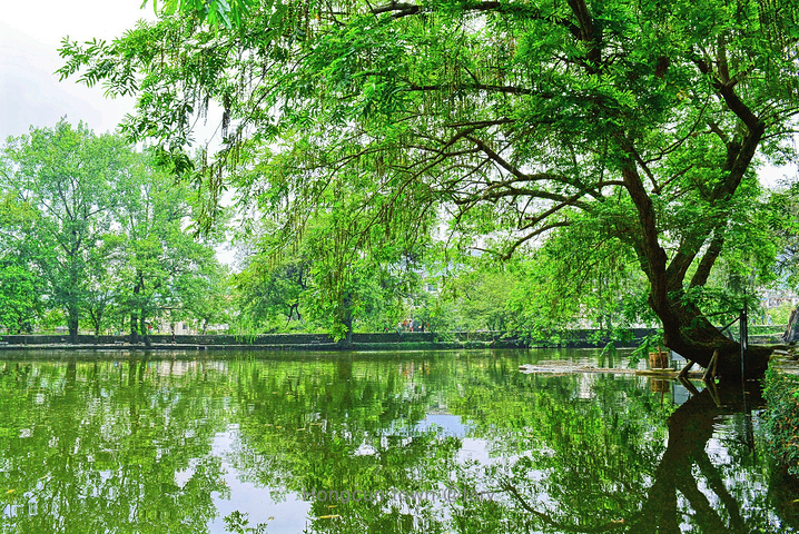 "“南湖→月沼”是游览宏村最经典的线路，一路随着主线路漫步，伴着微风美景，十分惬意_宏村-南湖"的评论图片