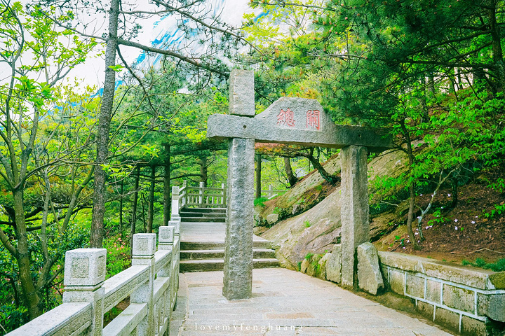 "...，这些远看似古堡魏立的天柱山岩石，在西关群峰垂直节理中非常发育，形成了横看成岭侧成峰的美丽景致_天柱山"的评论图片